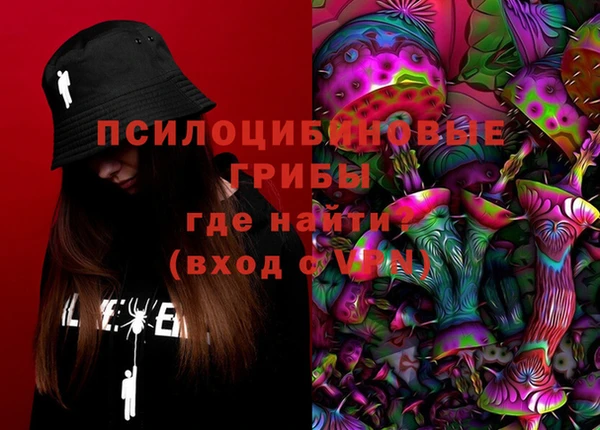 apvp Коряжма