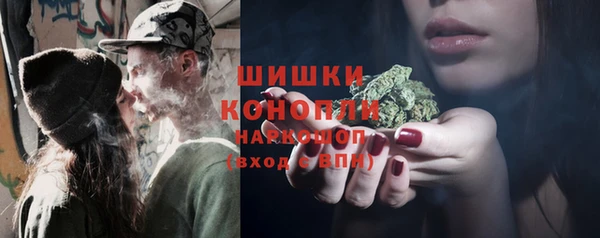 шишки Костерёво