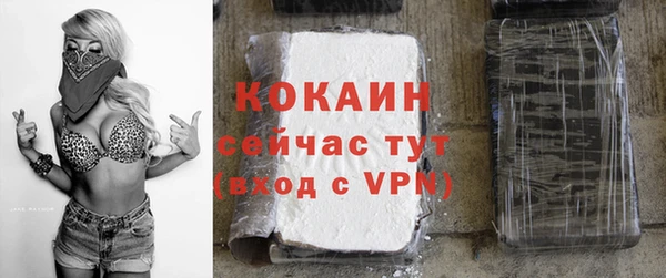 шишки Костерёво