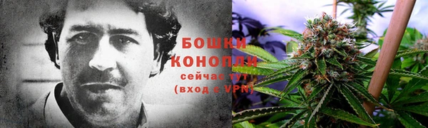 apvp Коряжма