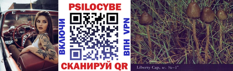 Галлюциногенные грибы мухоморы  Купить где  Кузнецк 